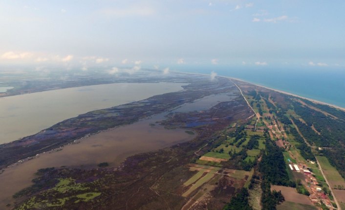 Kızılırmak Deltası Kuş Cenneti kısmen araç trafiğine kapatıldı