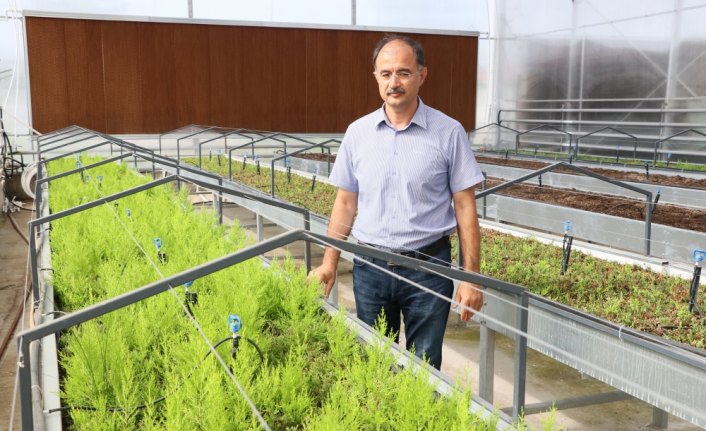 Özel günlerin yeşeren hediyesi 