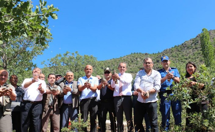 Tosya'da keklik salımı yapıldı