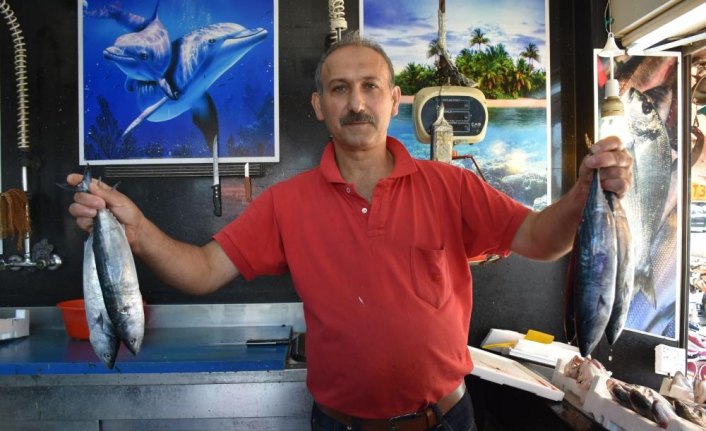 Balıkçılar 1 Eylül'ü bekliyor