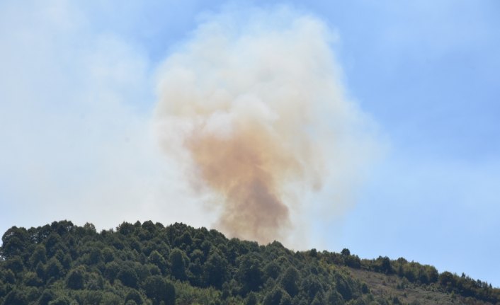 Bartın'da orman yangını