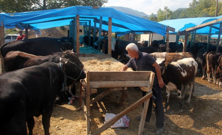 Bozkurt'ta kurban pazarı kuruldu