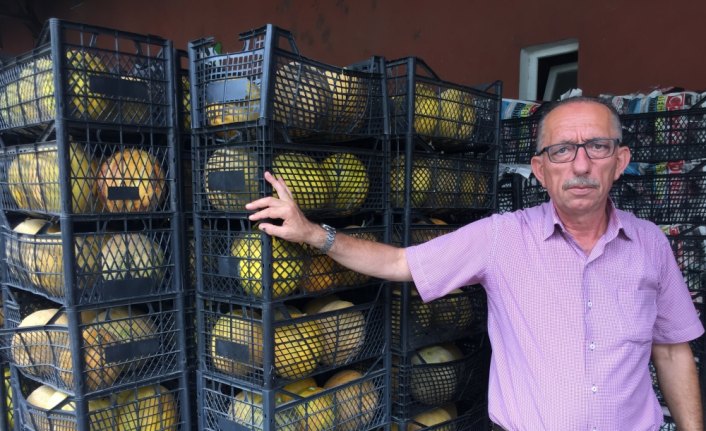 Çiftçilerin ürünleri değerini buldu