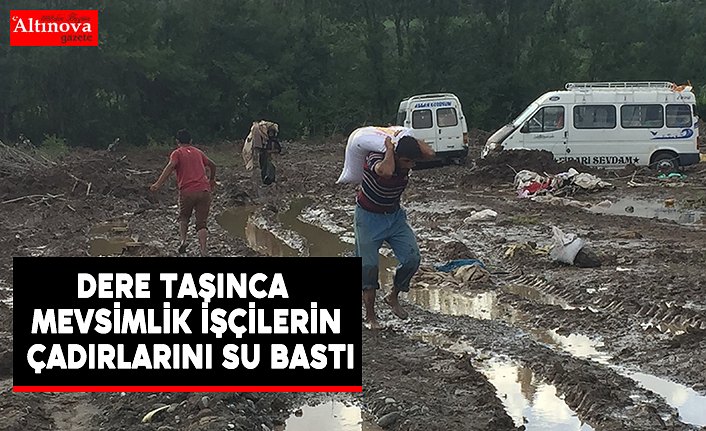 Dere taşınca mevsimlik işçilerin çadırlarını su bastı