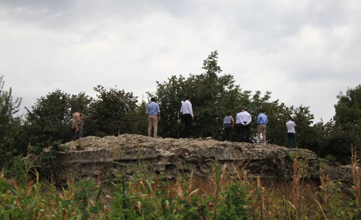 Fındık bahçesinden 