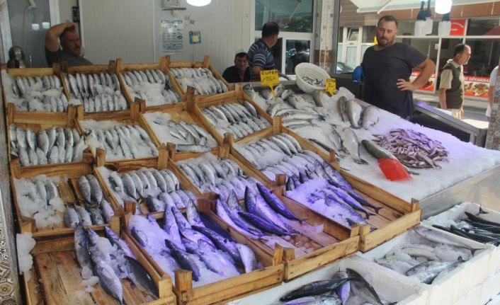 Karadeniz'de palamut bolluğu sürüyor