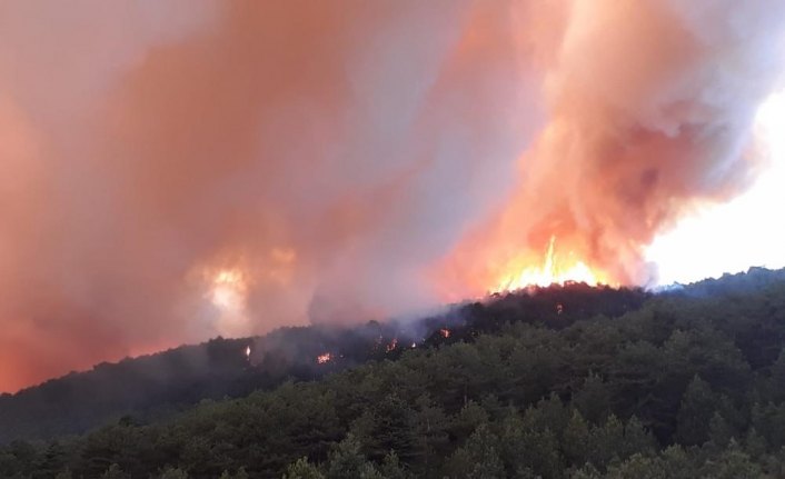 Kastamonu'da orman yangını