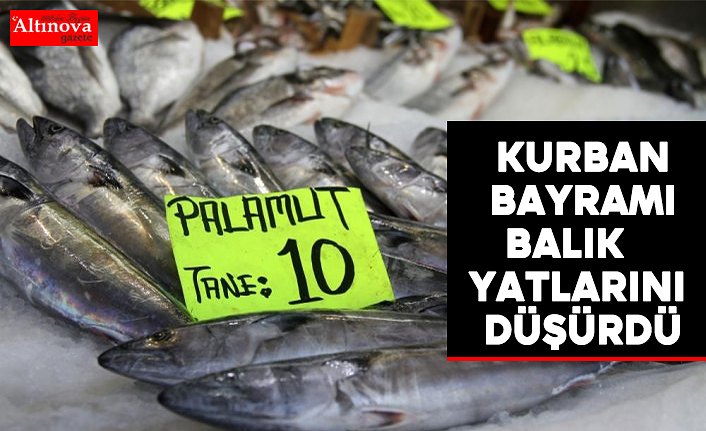 Kurban Bayramı balık fiyatlarını düşürdü