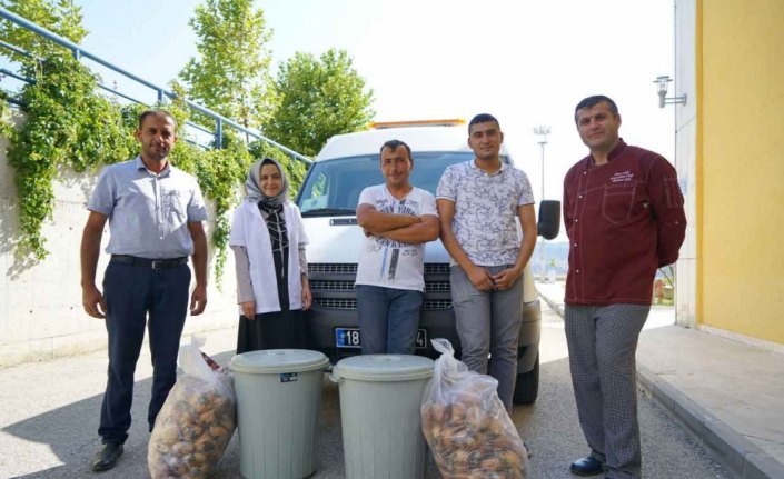 Sokak hayvanları için yemek masalarından 
