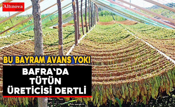 Tütün üreticilerin telefonlarına bile bakılmıyor