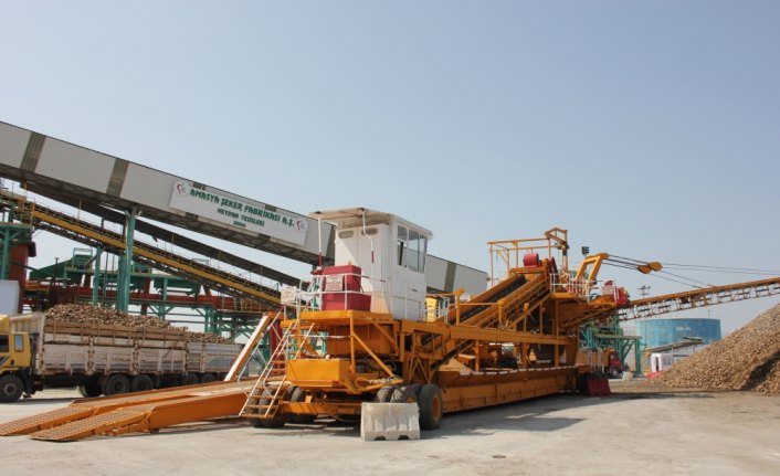 Amasya Şeker Fabrikası'nda 65. kampanya dönemi başladı
