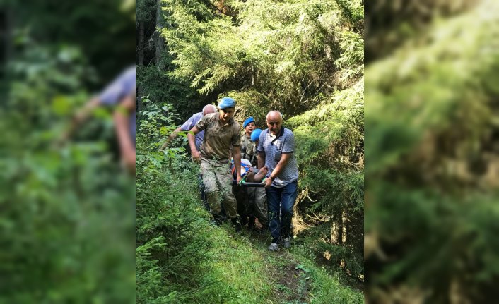 Artvin'de uçuruma yuvarlanan kişiyi jandarma ekipleri kurtardı