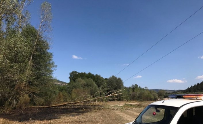 Azdavay'da ot yangını