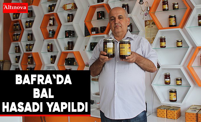 Bafra'da Bal Hasadı Yapıldı