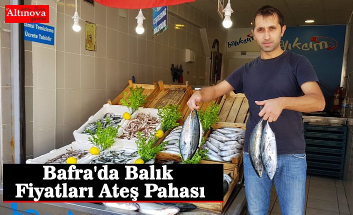 Bafra'da Balık Fiyatları Ateş Pahası