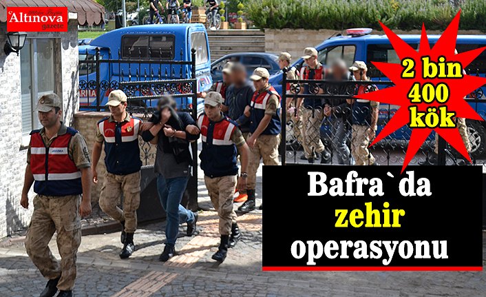 Bafra`da zehir operasyonu