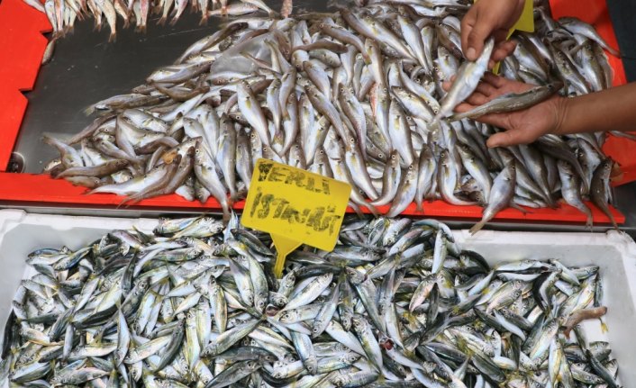 Balıkçılar deniz suyu ve hava sıcaklıklarının düşmesini bekliyor