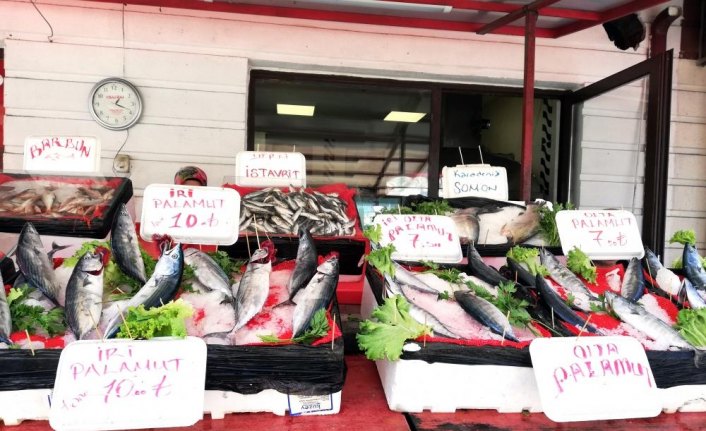 Batı Karadenizli balıkçılar palamutla sevindi