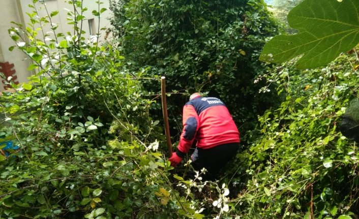 Çalılıklara sıkışan yavru kedi kurtarıldı