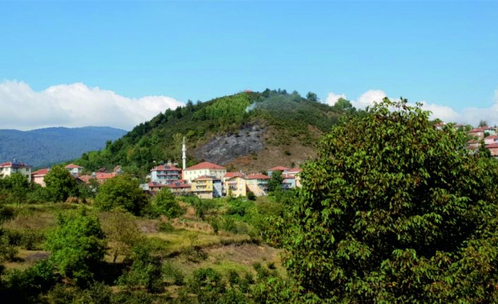 Düzce'de makilik alanda yangın çıktı