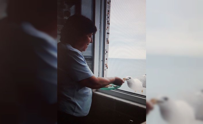 Emekli çiftin en sadık misafirleri 