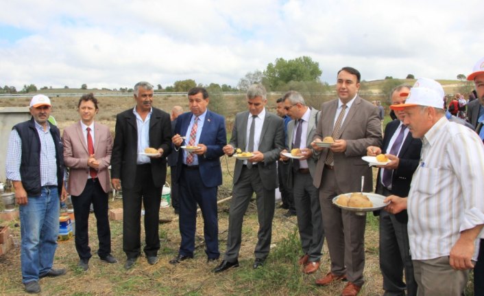 Havza'da patates hasadı tarla günü düzenlendi