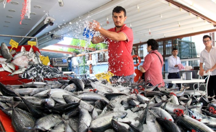 Karadeniz'de balık bolluğu