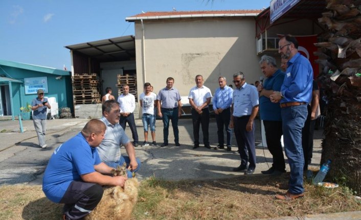 Karadenizli balıkçılar av sezonu öncesi kurban kesip dua etti