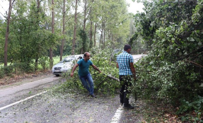 Kastamonu'da sağanak ve kuvvetli rüzgar
