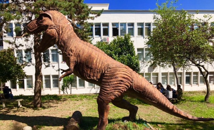 KTÜ'de Doğa Müzesi oluşturulacak