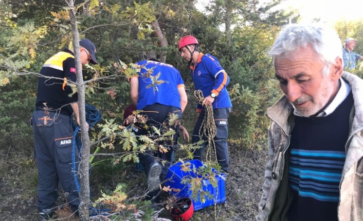 Kurtlardan kaçarken uçurumdan atlayan 40 koyun telef oldu