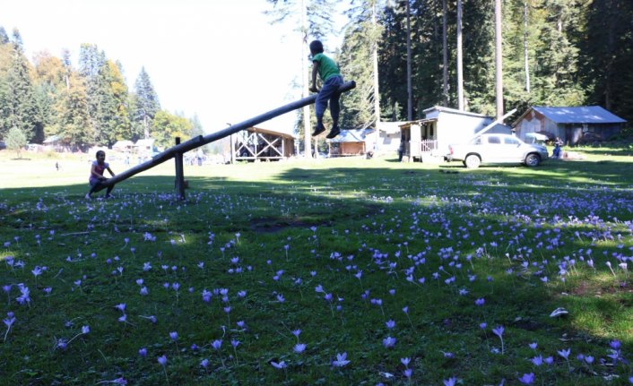 Mudurnu'da yayla turizmine yoğun ilgi