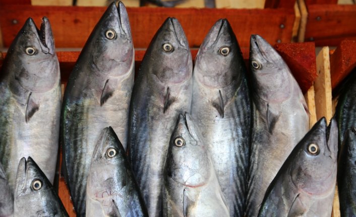 Olumsuz hava balık fiyatlarını artırdı