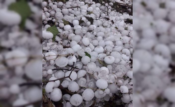 Ordu'da ceviz büyüklüğünde dolu yağdı