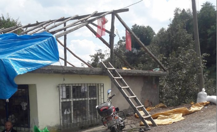 Ordu'da fındık hırsızlığı iddiası