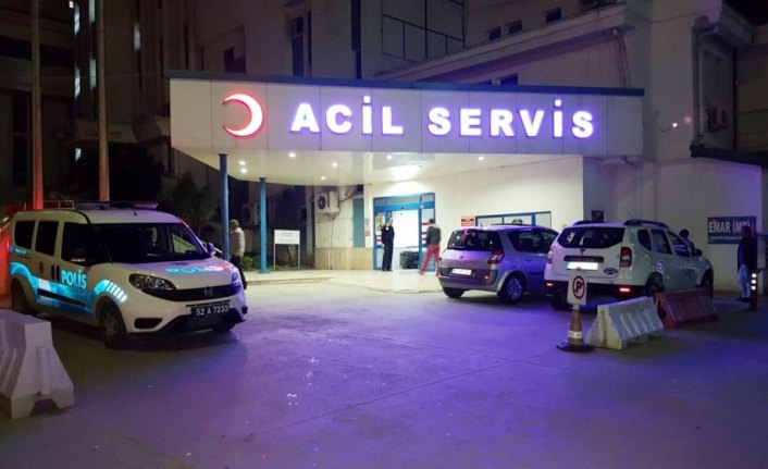 Ordu'da kayalıklardan düşen kişi yaralandı