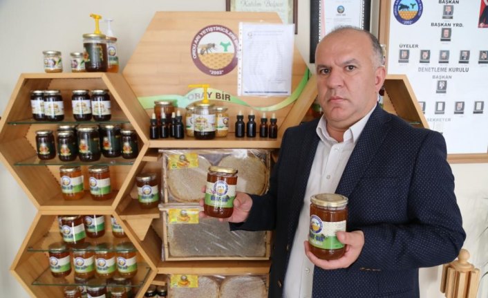 Ordu'dan Almanya'ya bal ihracatı