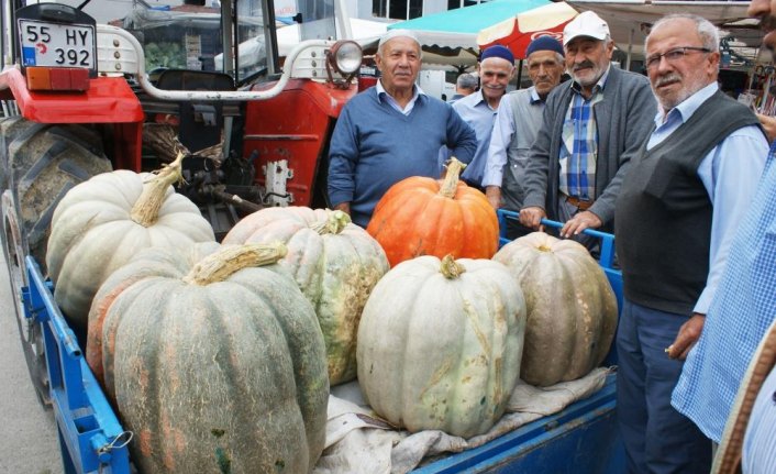 Samsun'da 57 kilogramlık bal kabağı yetiştirildi