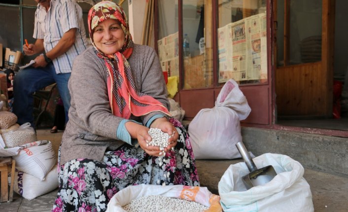 Tescilli Akkuş fasulyesinde rekolte artışı bekleniyor