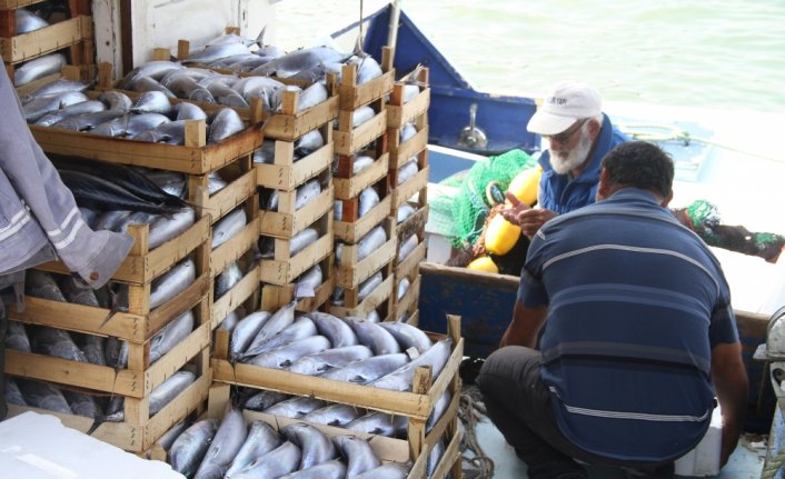 14 metrelik tekneden 8 bin palamut çıktı
