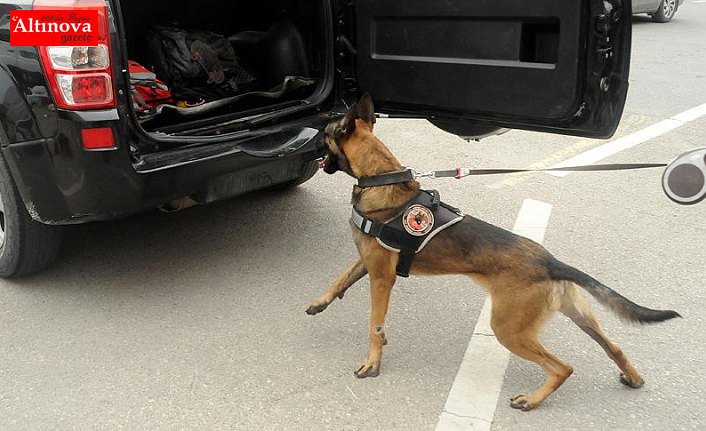 9 ayda 2 milyar 834 milyon lira değerinde uyuşturucu ele geçirildi