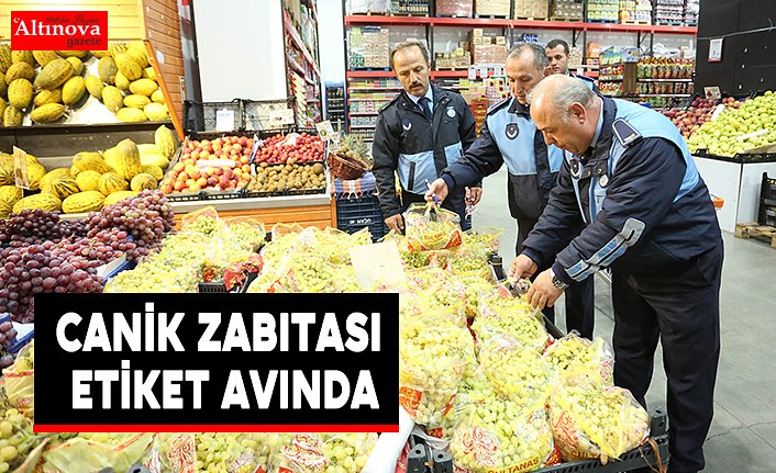 Canik zabıtası etiket avında
