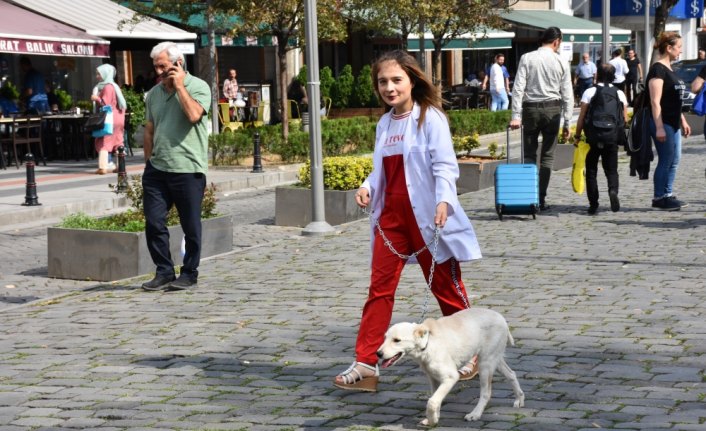 Dünya Hayvan Hakları Günü