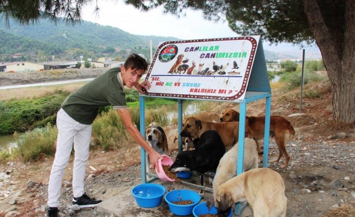Dünya Hayvanları Koruma Günü