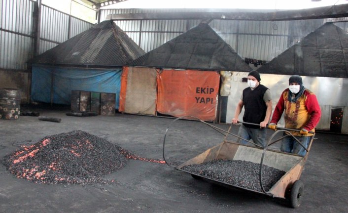 Fındık kabuğundan mangal kömürü üretiyorlar