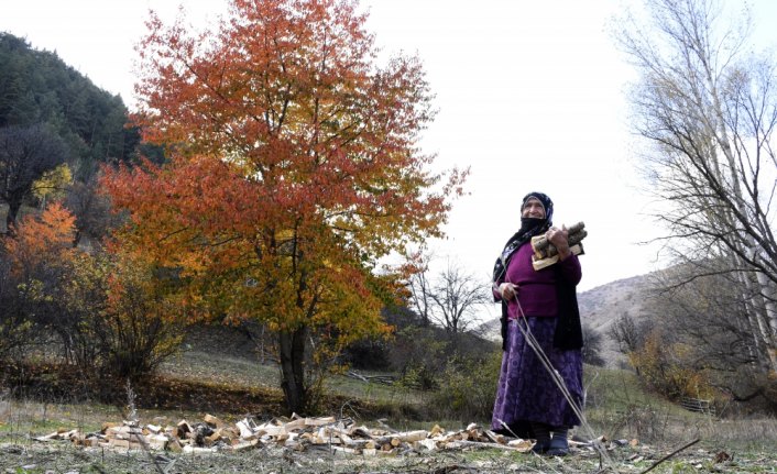 Görsel şölen sunan doğada kış hazırlığı sürüyor