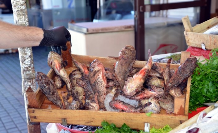 İskorpit balık tezgahlarını süsledi