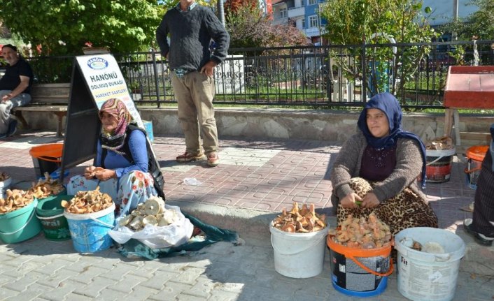 Kanlıca mantarı pazara indi