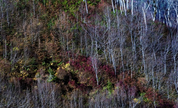 Karçal Dağları'nda sonbahar güzelliği
