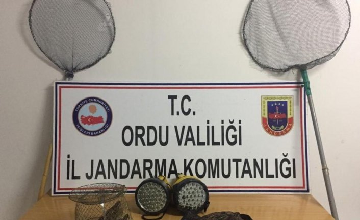 Ordu'da kaçak avlananlara ceza